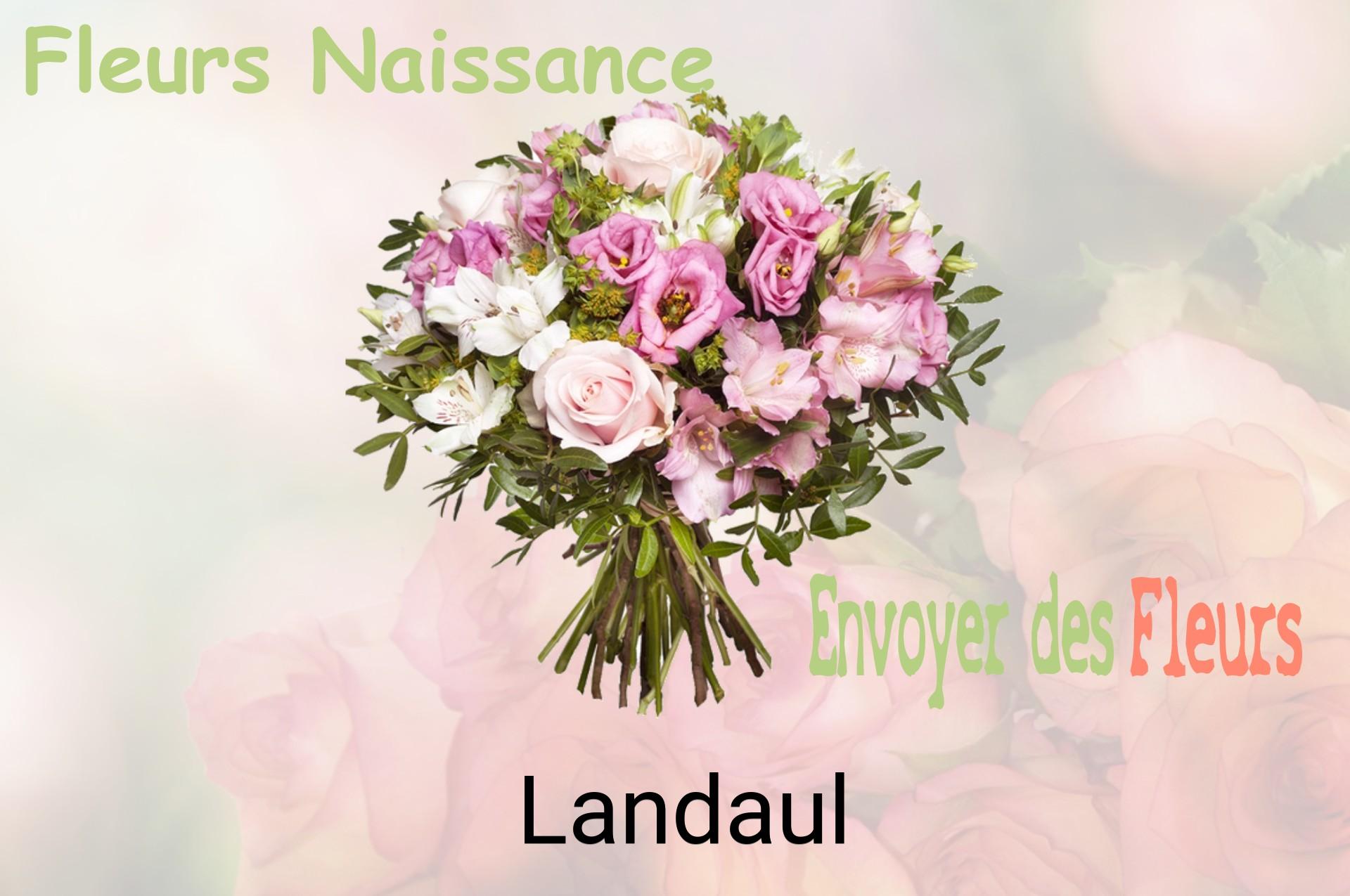 Bouquet de fleurs de naissance livré à Landaul